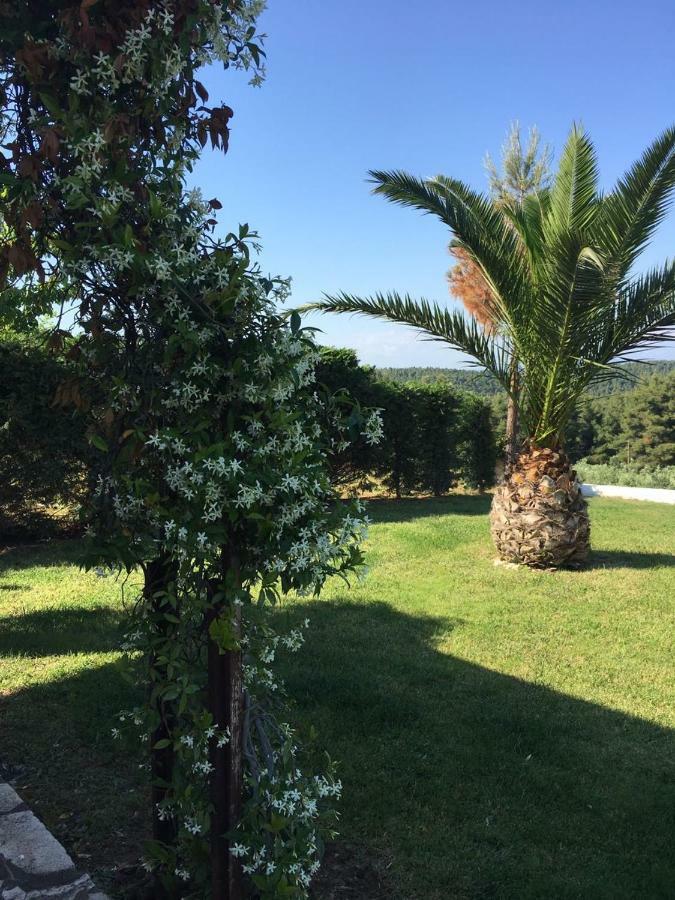 3 Bedroom Villa In Elani Villas Chalkidiki Siviri Zewnętrze zdjęcie